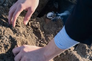 archeologia del silenzio